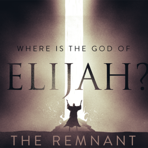 The Remnant