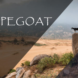 The Scapegoat